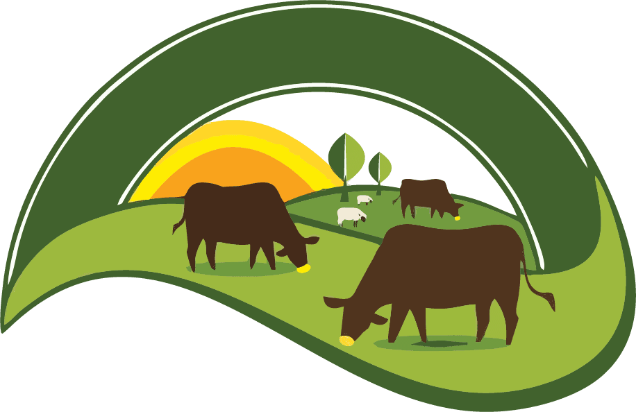 Jorge Altamiranda Espinosa